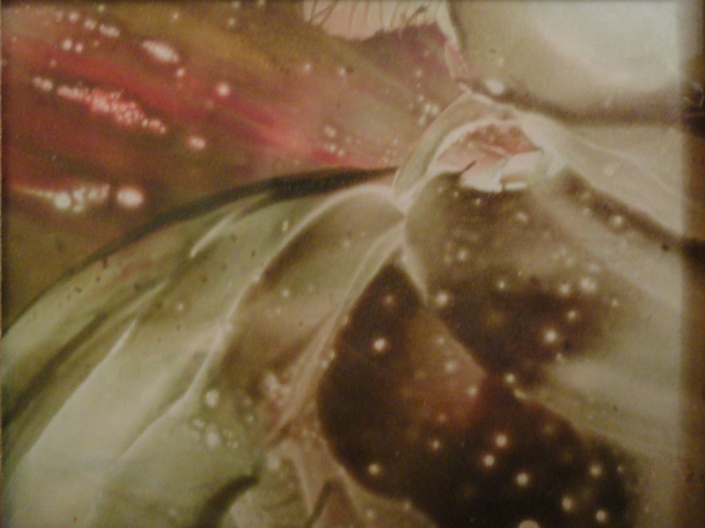 Kreutopia Arts - Gallery